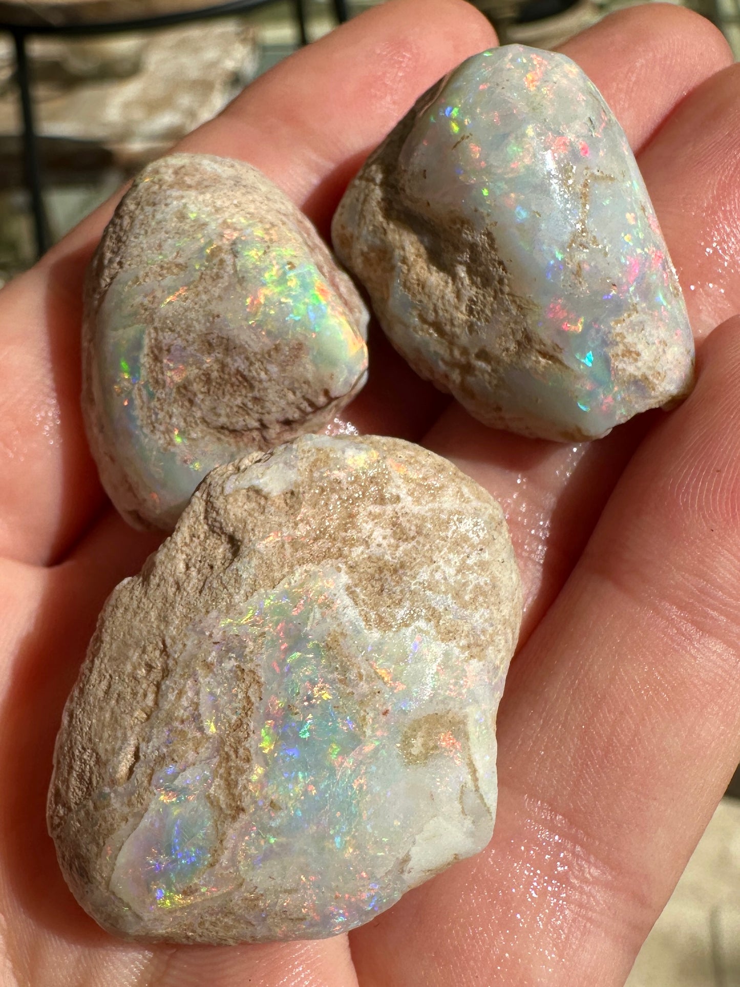 Parcel of 3 Opalized fossil shells 142.875 cts potential pendant or jewellery or ornament 