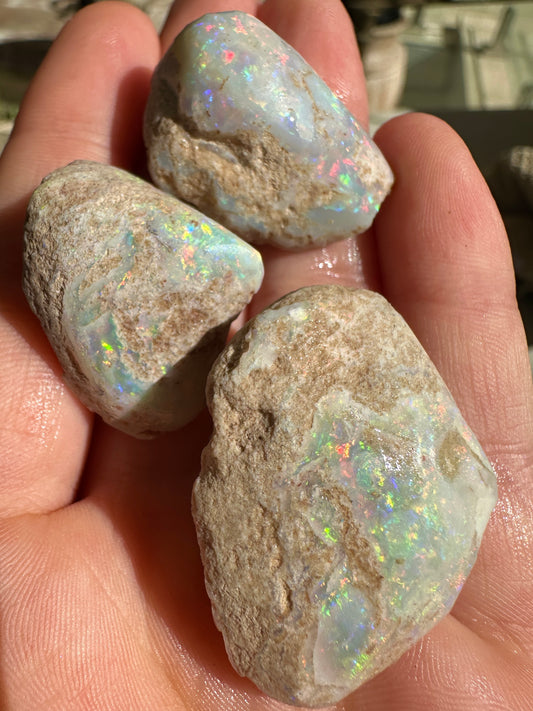 Parcel of 3 Opalized fossil shells 142.875 cts potential pendant or jewellery or ornament 