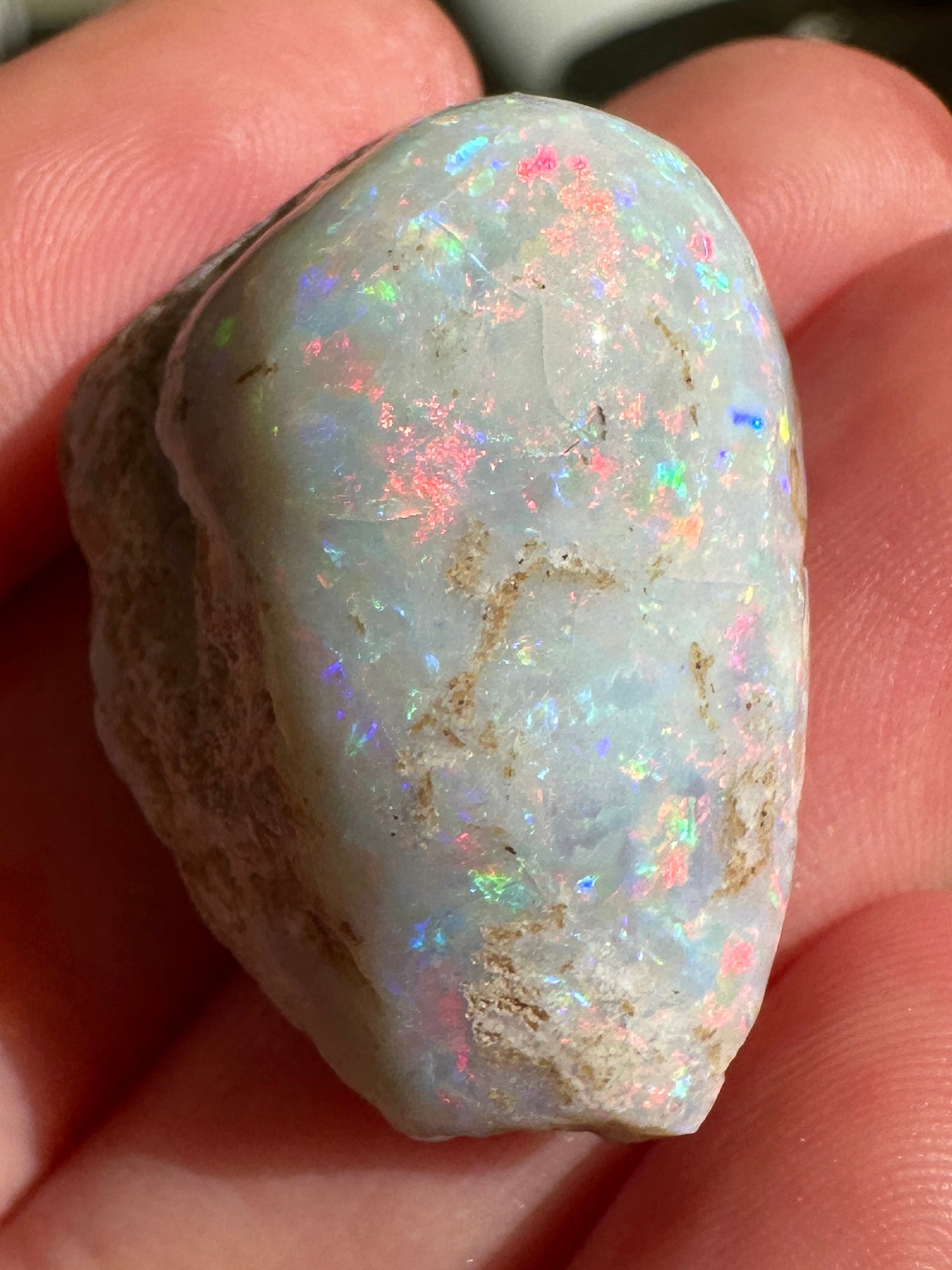 Parcel of 3 Opalized fossil shells 142.875 cts potential pendant or jewellery or ornament 