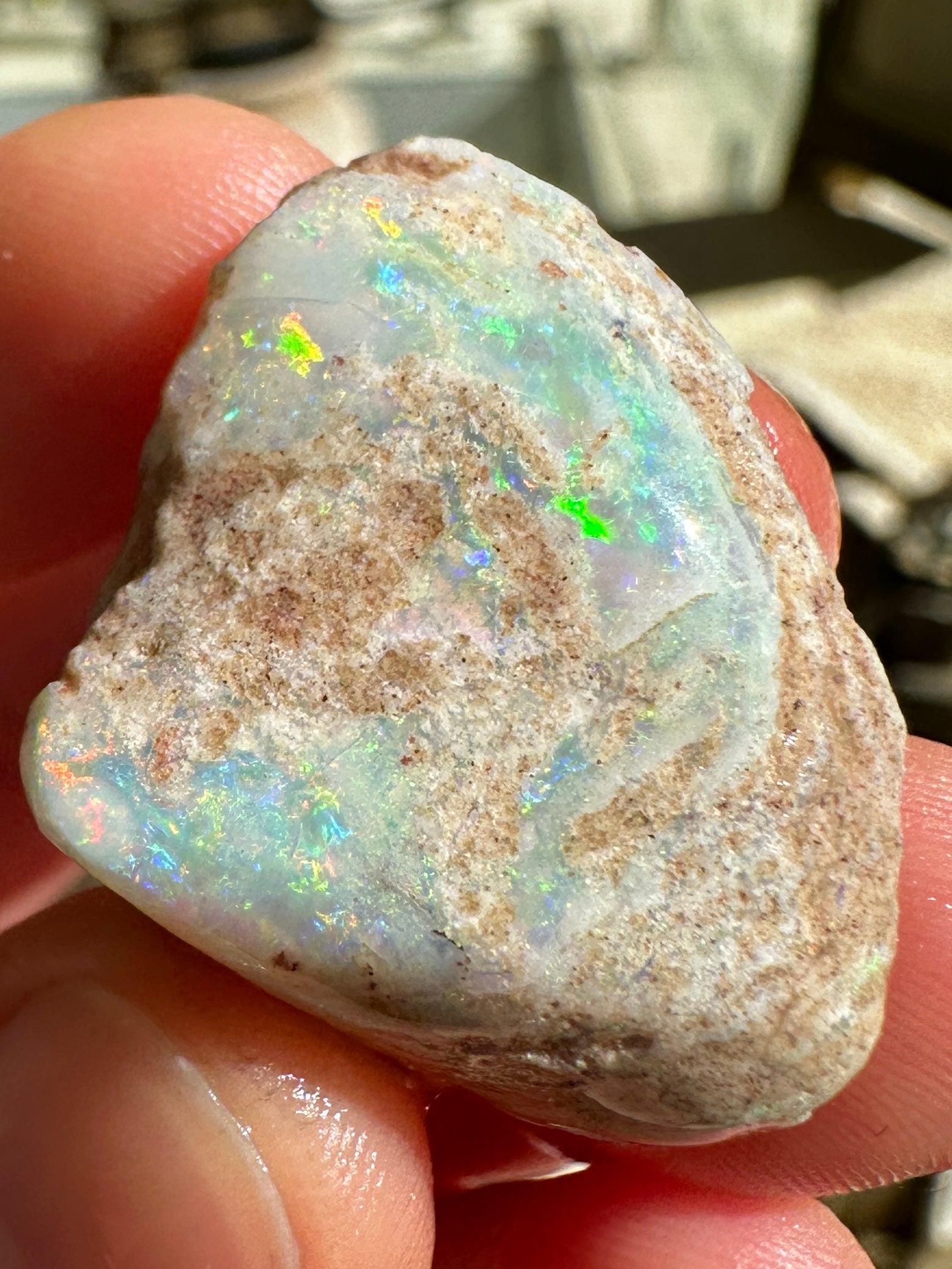 Parcel of 3 Opalized fossil shells 142.875 cts potential pendant or jewellery or ornament 