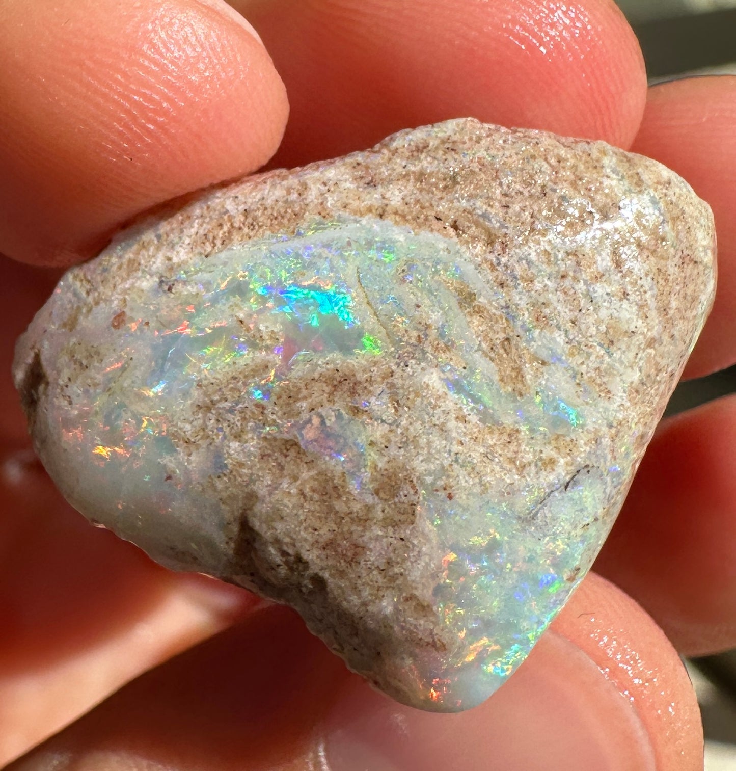Parcel of 3 Opalized fossil shells 142.875 cts potential pendant or jewellery or ornament 