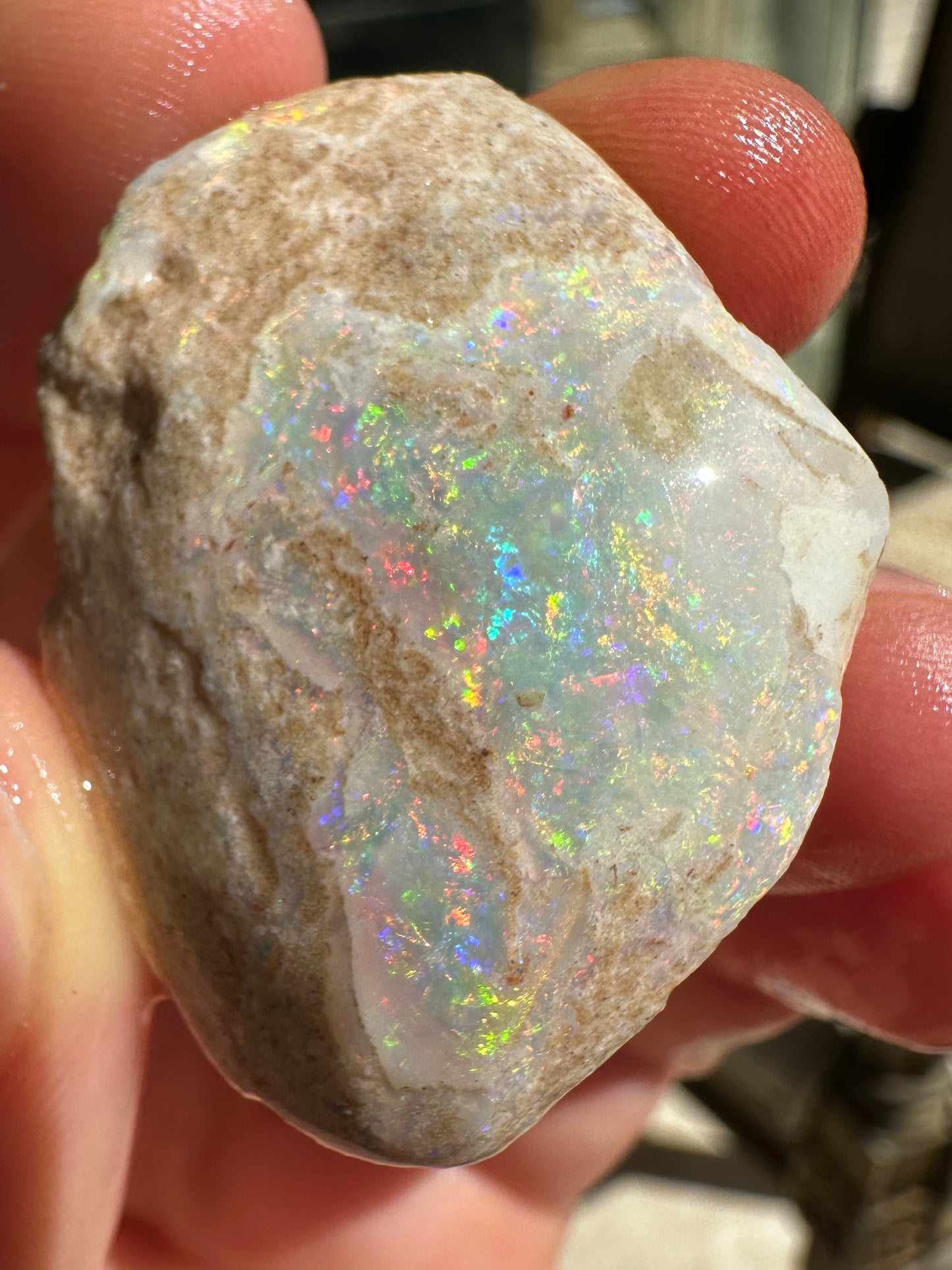 Parcel of 3 Opalized fossil shells 142.875 cts potential pendant or jewellery or ornament 