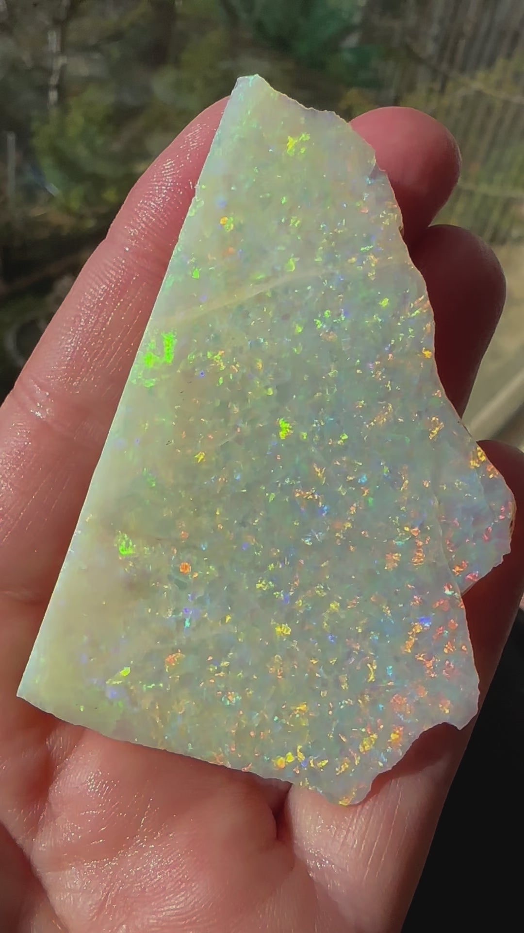 Huge stunning Australian rough uncut opal 194 cts