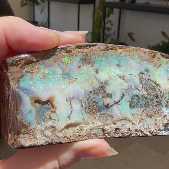 Australian Queensland Boulder Opal Specimen