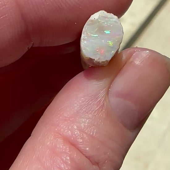 Natural Opalized Belemnite Fossil 21.9 cts