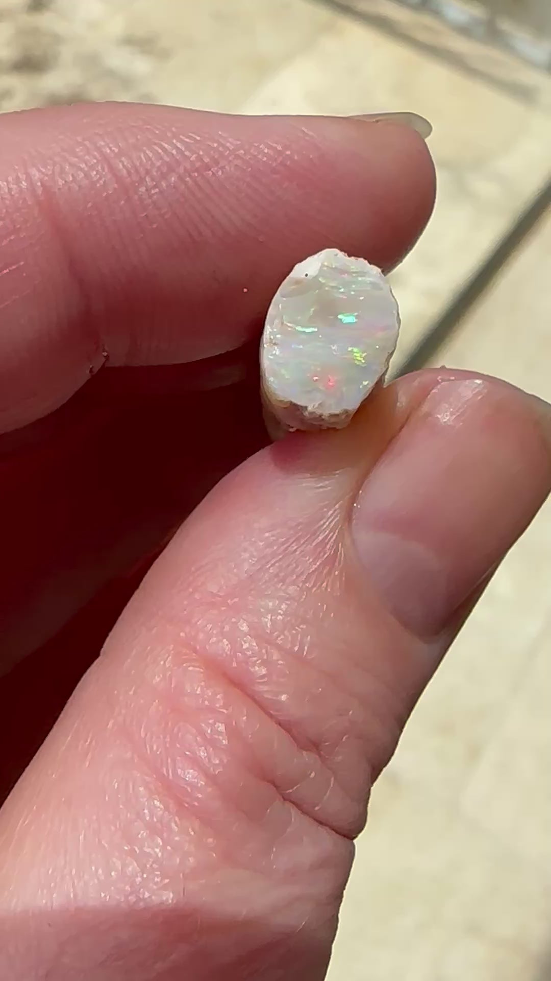 Natural Opalized Belemnite Fossil 21.9 cts