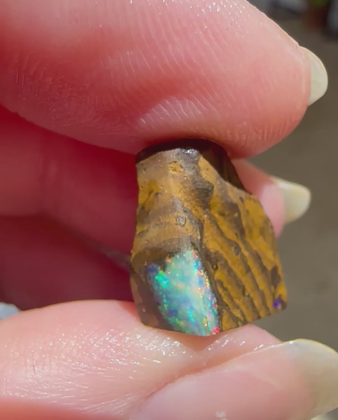 Australian Queensland Boulder Opal