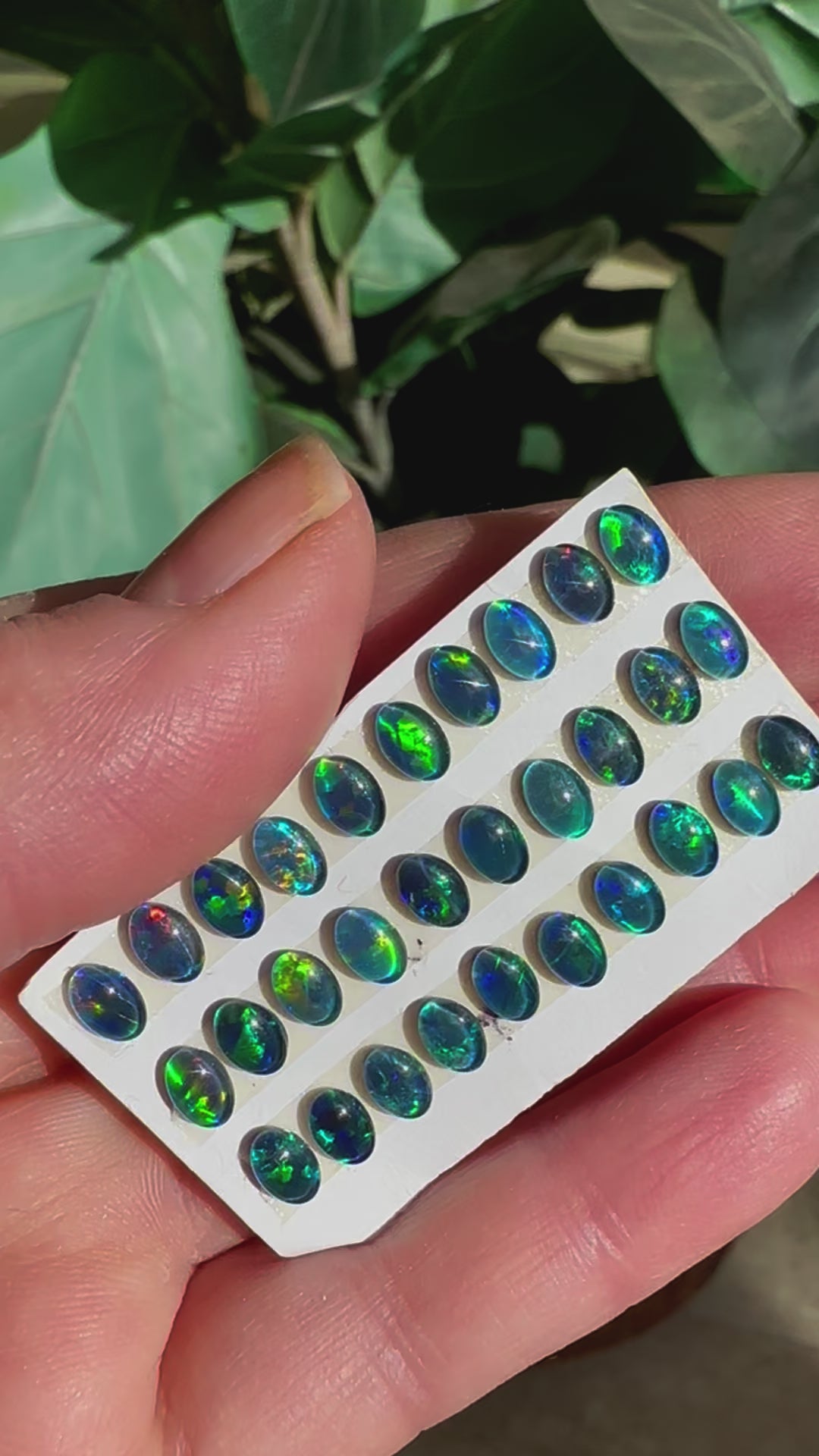 Australian Opal Triplets 10mm Rounds