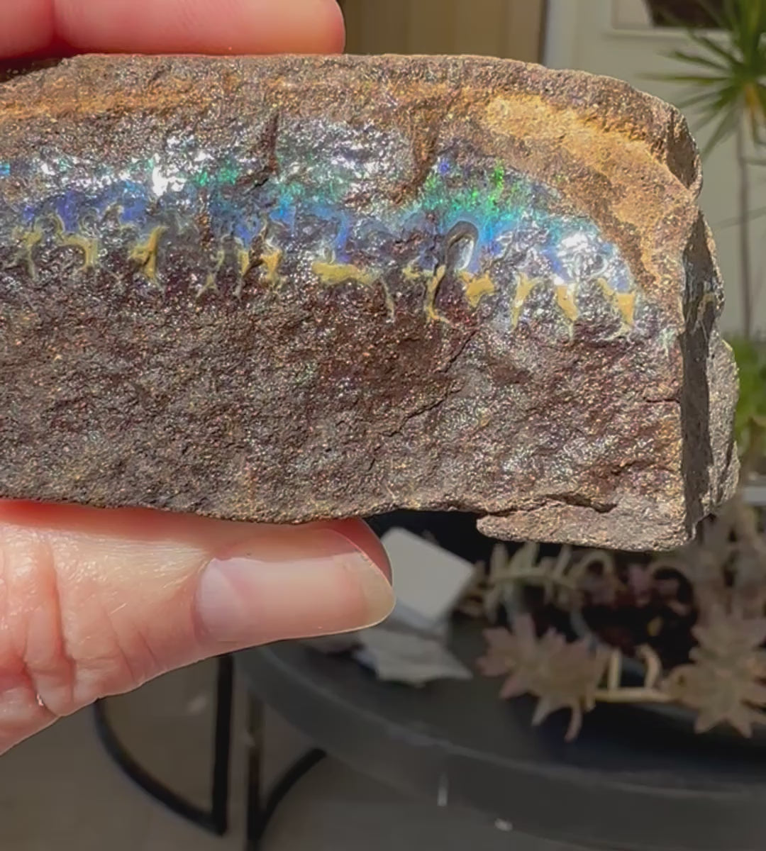 Natural Australian Boulder Opal Specimen