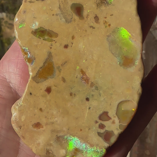 Unique Natural Australian Andamooka matrix opal 399.9 cts