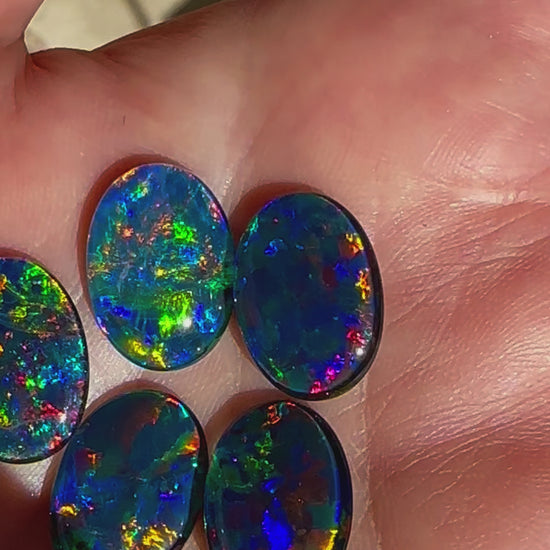 5 Australian Gem Opal Triplets 18x13mm 