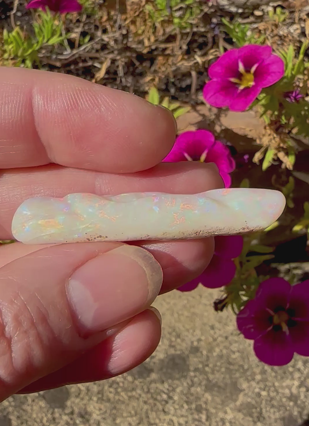 Genuine Australian Opal Belemnite 30.1 cts