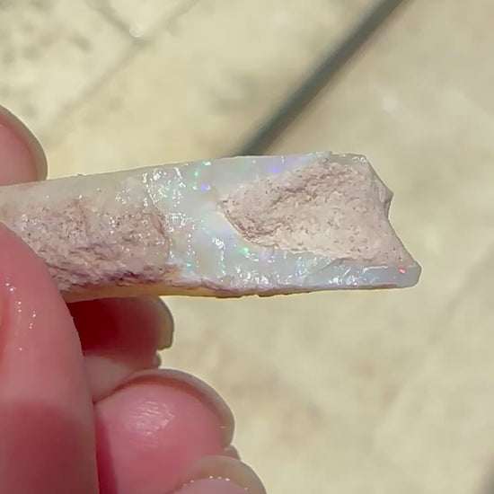 Natural Opalized Belemnite Fossil 21.9 cts