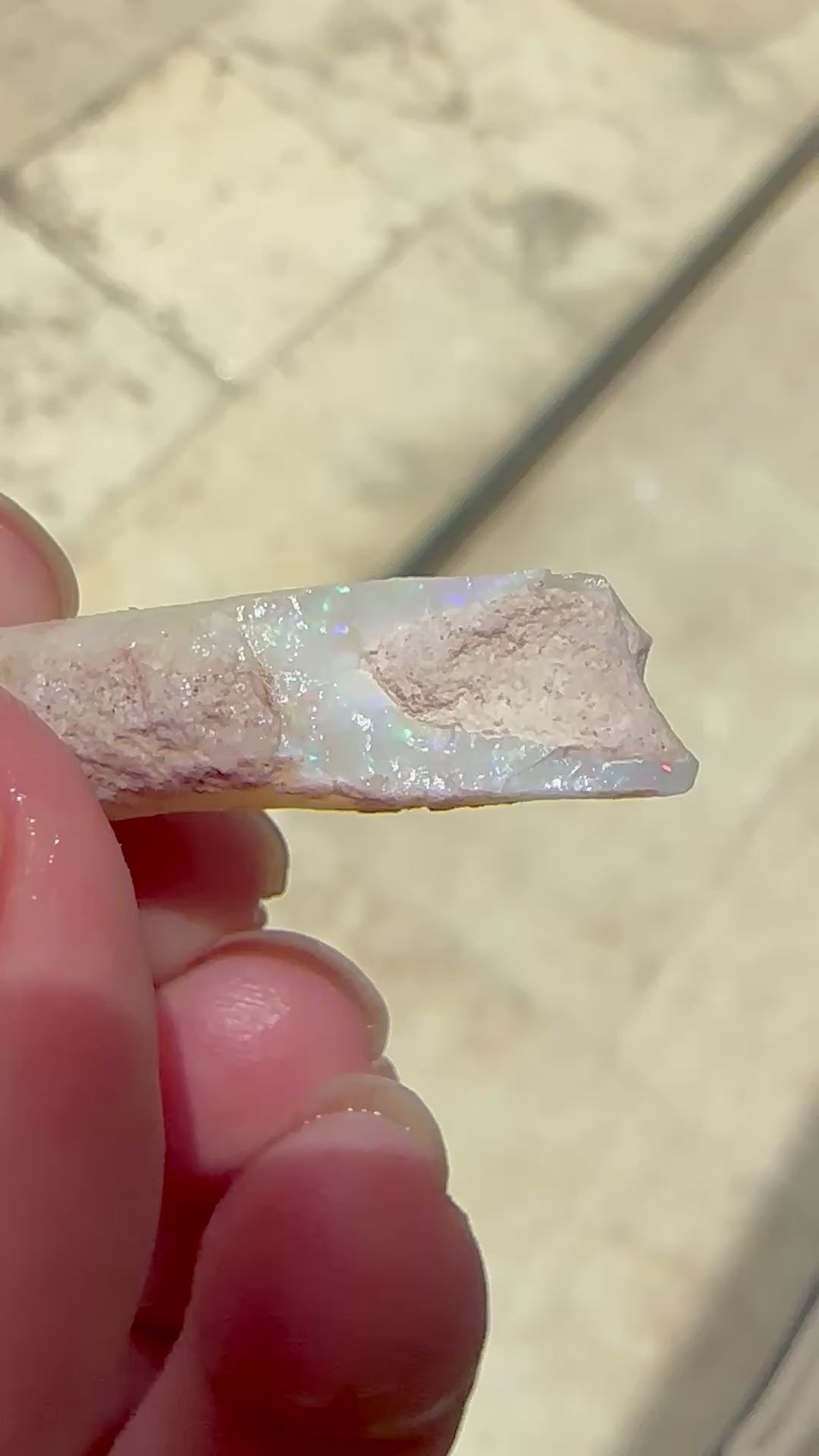 Natural Opalized Belemnite Fossil 21.9 cts