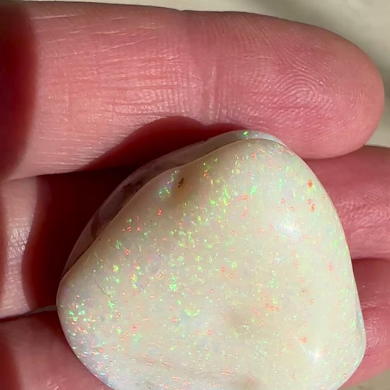 Opal Essence Opalized Cockle Shell multicoloured Pendant 