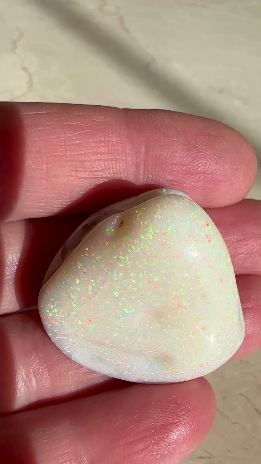 Opal Essence Opalized Cockle Shell multicoloured Pendant 