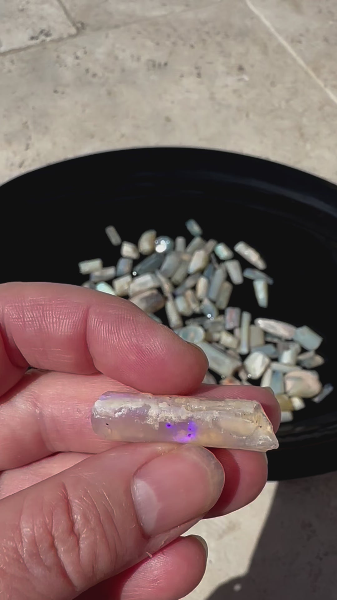 Natural Opalized Fossils Coober Pedy Belemnites