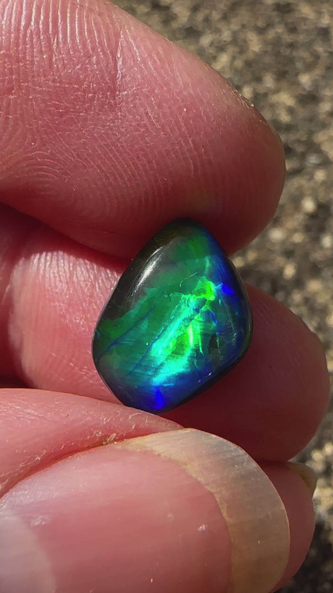 Super Gem Opal Triplet 14x10mm 4.55 cts