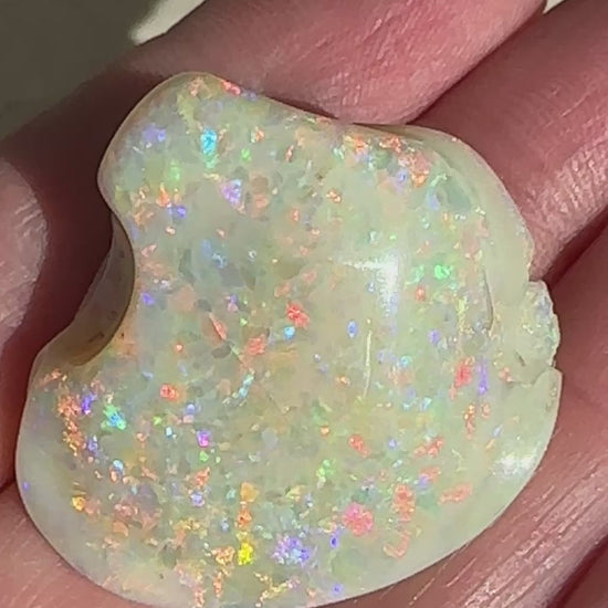 Opal Essence Opalized Cockle Shell multicoloured Pendant 