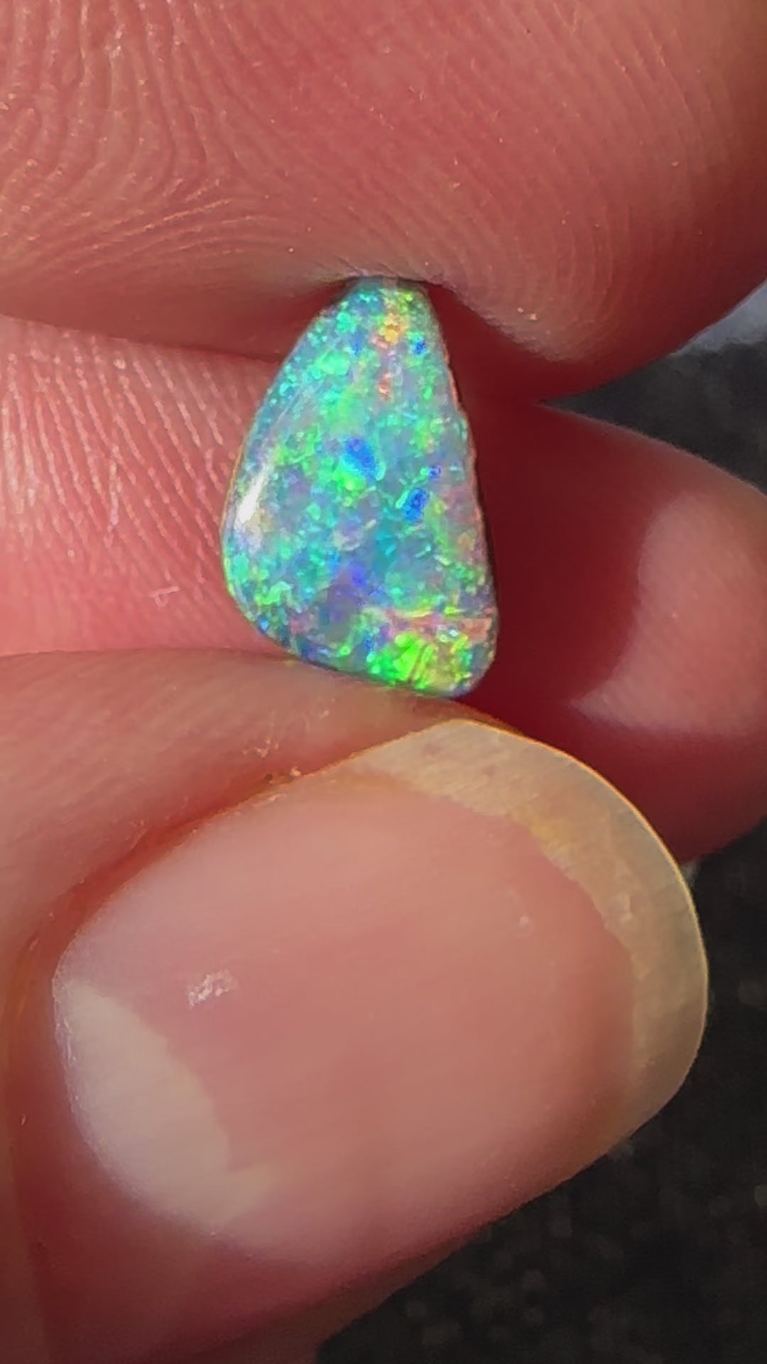 Australian Queensland Boulder Opal Cut Stone