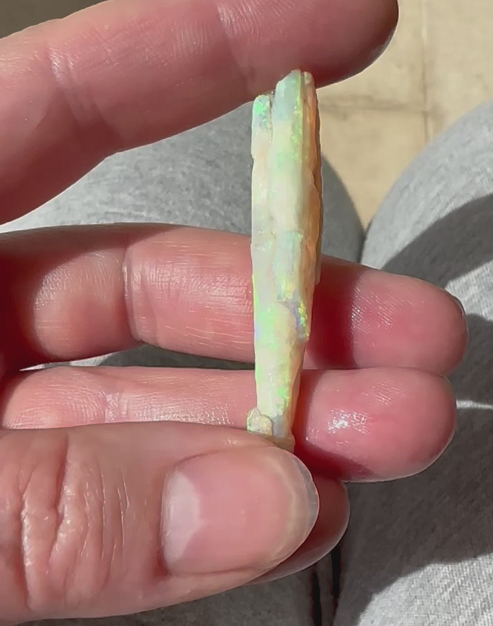 Genuine Australian Opal Belemnite 30.9 cts