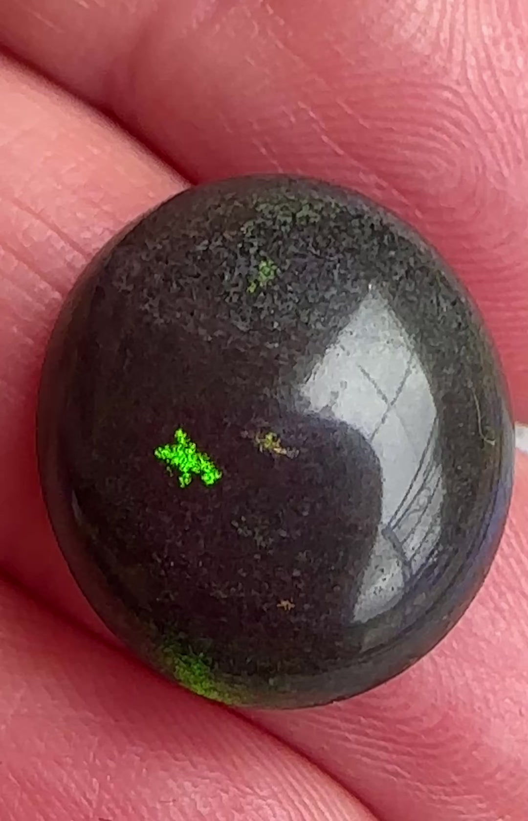 Opal Essence Australian Treated Andamooka Matrix multicolored Unset Pendant opal 