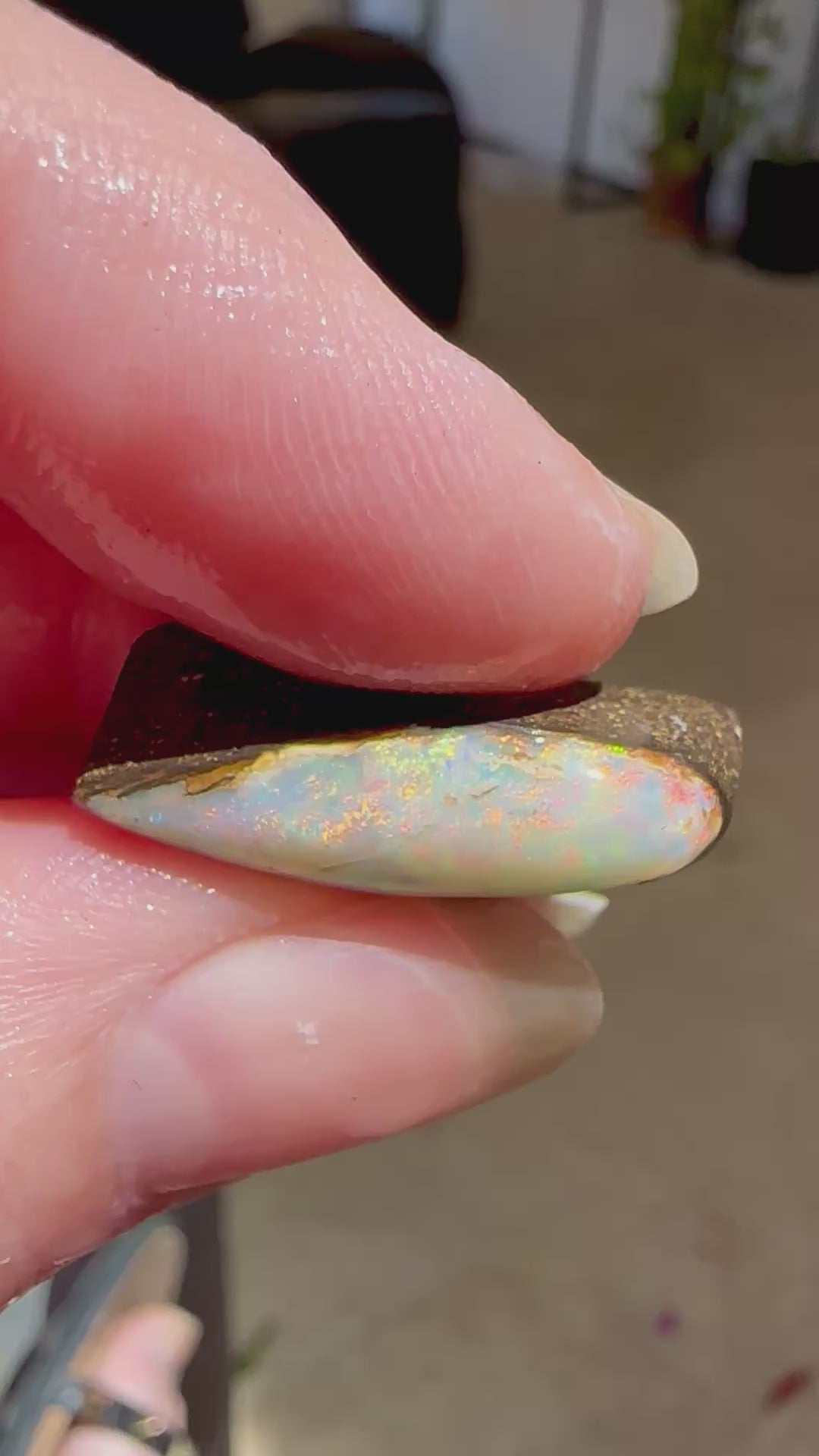 Australian Queensland Boulder Opal
