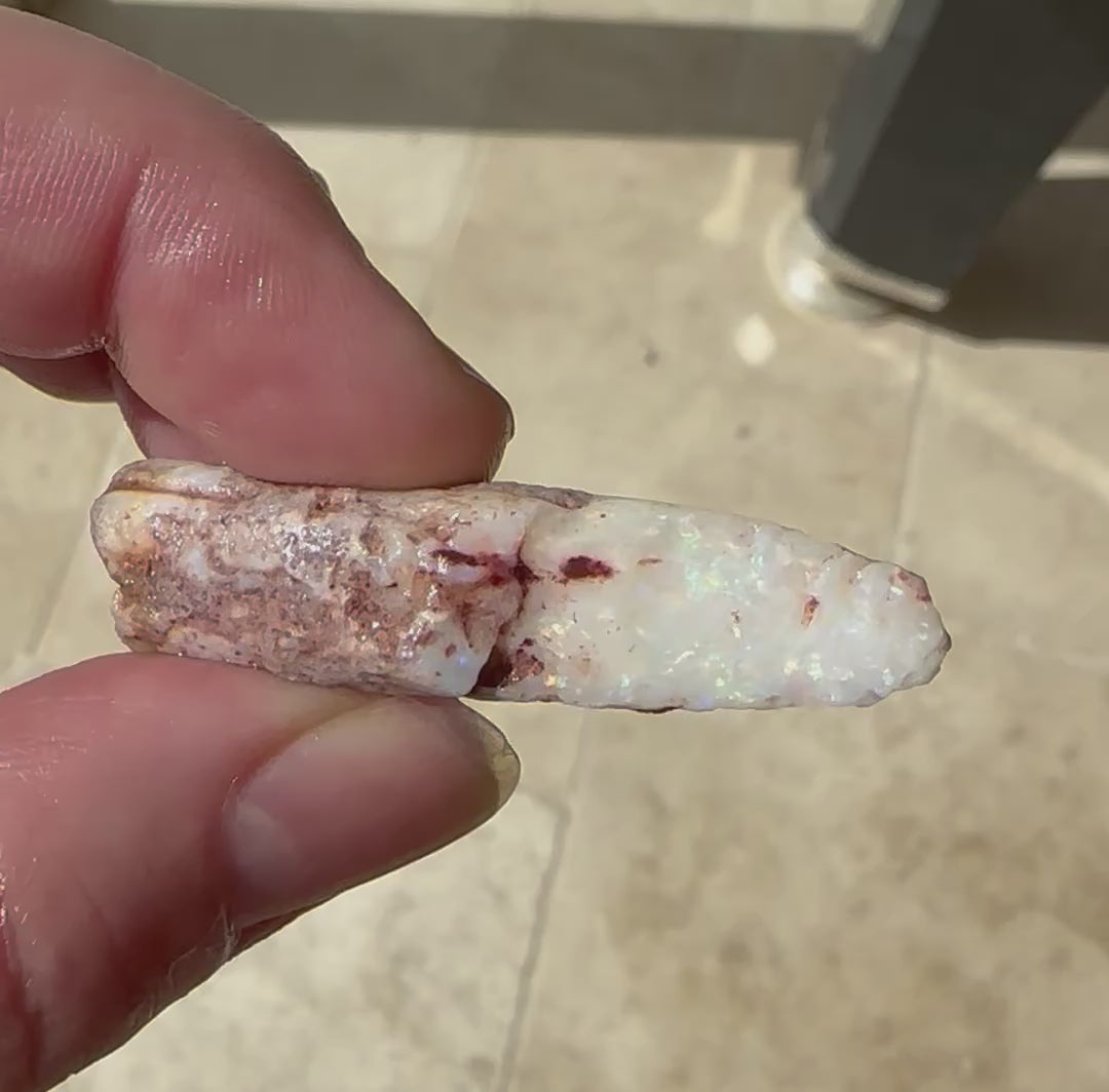 Genuine Australian Opal Belemnite 45.5 cts