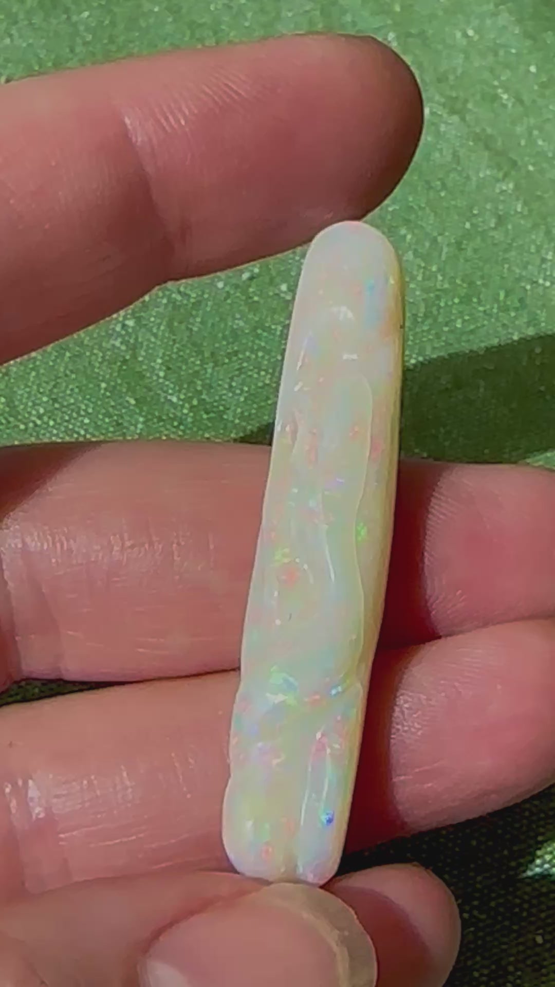 opal belemnite polished