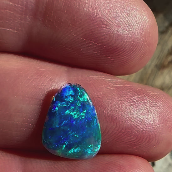 Australian Skinny Shell Crystal Solid Opal 14 x 10mm 1.4 cts