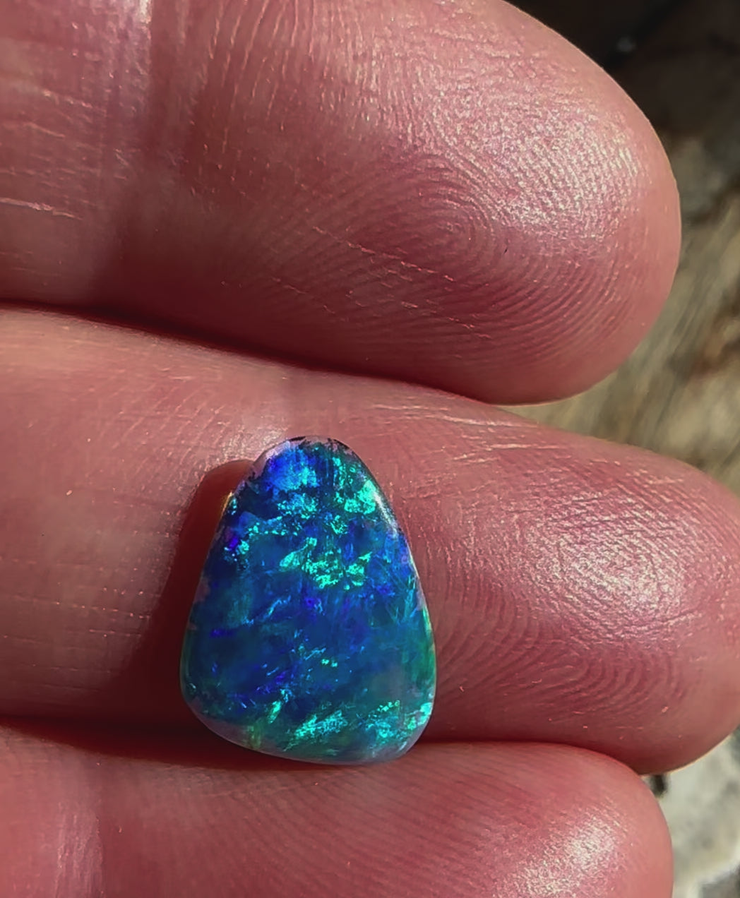 Australian Skinny Shell Crystal Solid Opal 14 x 10mm 1.4 cts