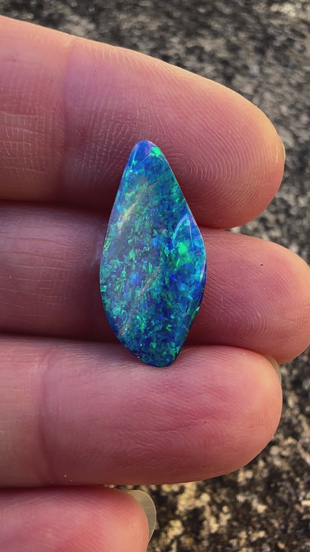 Australian Skinny Shell Crystal Solid Opal 23x11mm 2.1 cts