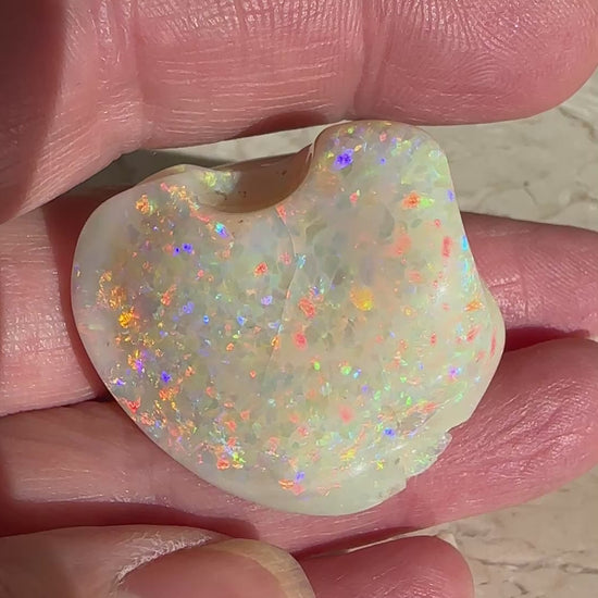 Opal Essence Opalized Cockle Shell multicoloured Pendant 