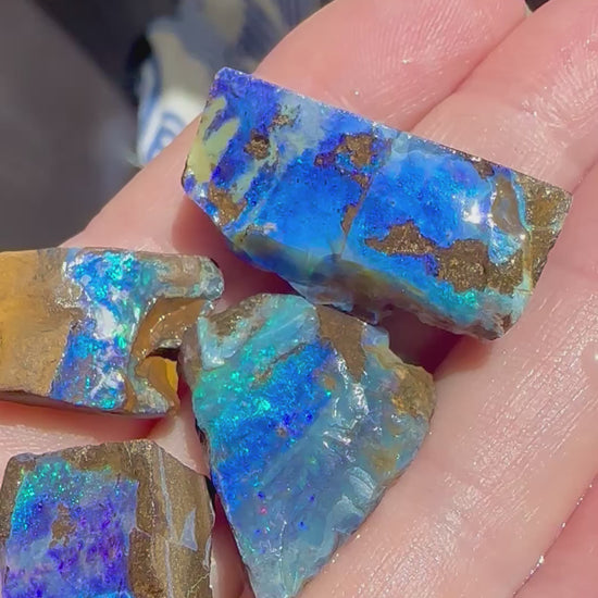 Australian Queensland Boulder Opal Parcel