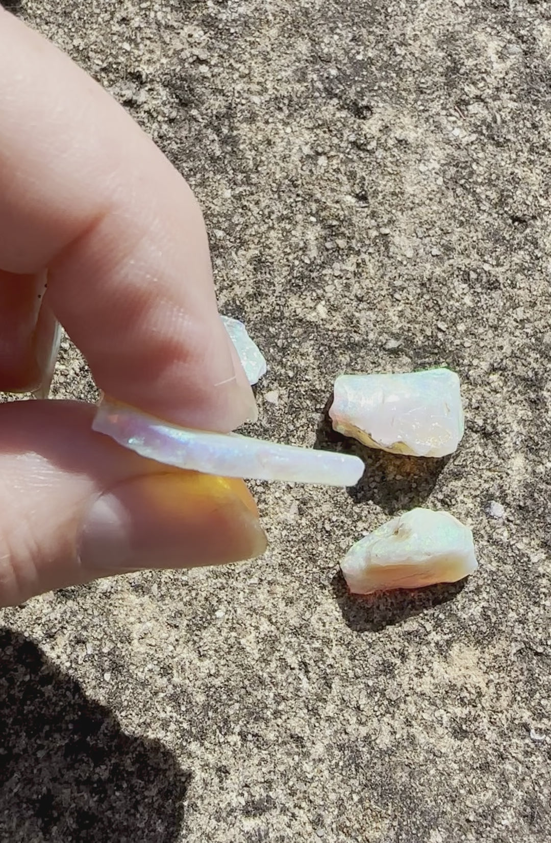 Andamooka Super Gem Rough Uncut Opal