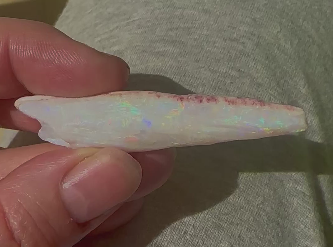 Genuine Australian Opal Belemnite 58 cts