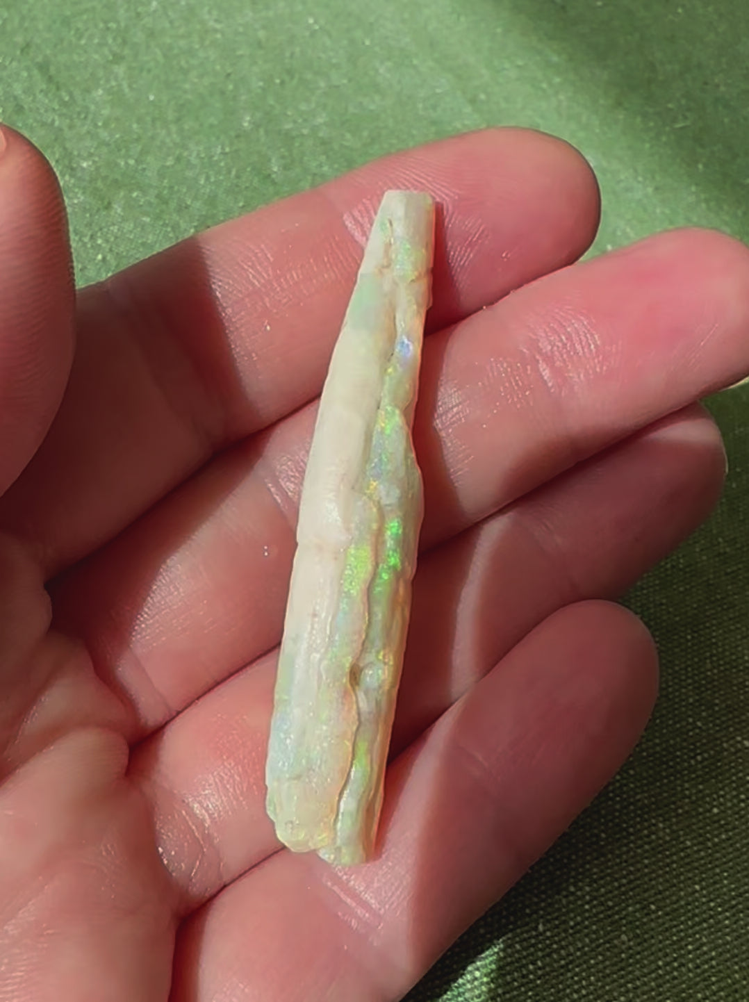Genuine Australian Opal Belemnite 30.9 cts