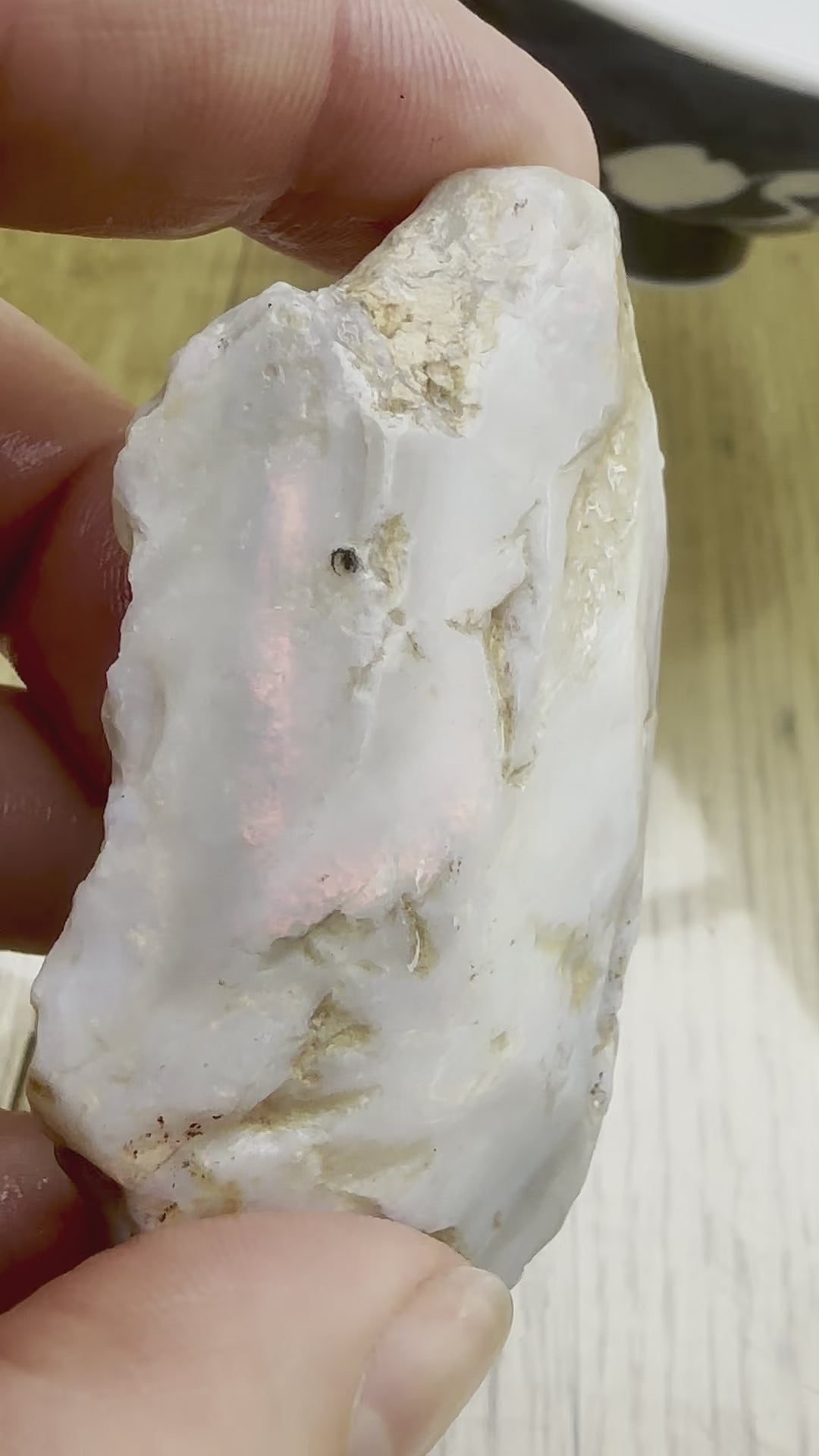 Large Lambina Rough Uncut Opal