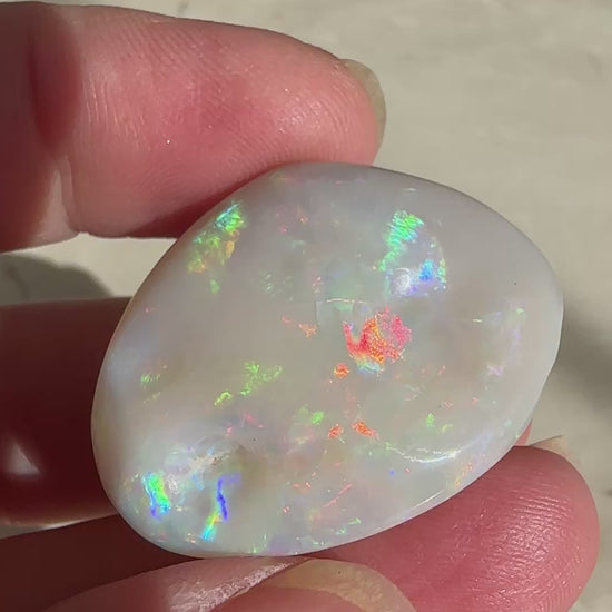 Opal Essence Opalized Cockle Shell multicoloured Pendant 