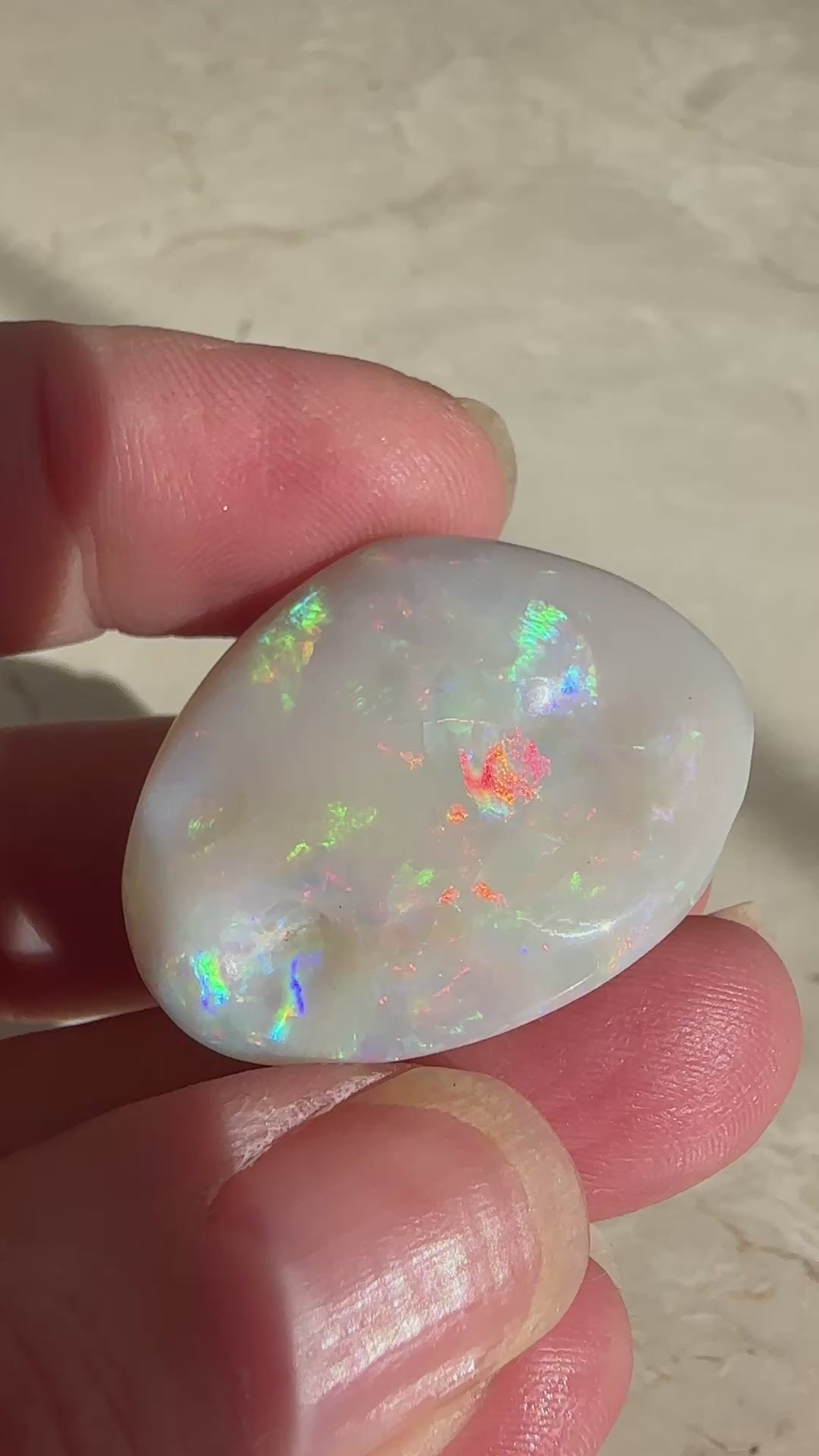 Opal Essence Opalized Cockle Shell multicoloured Pendant 