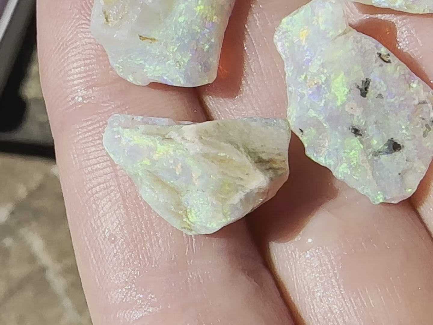 Andamooka Super Gem Rough Uncut Opal