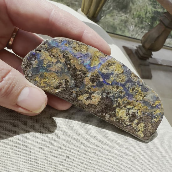 Large Queensland Boulder Opal Specimen