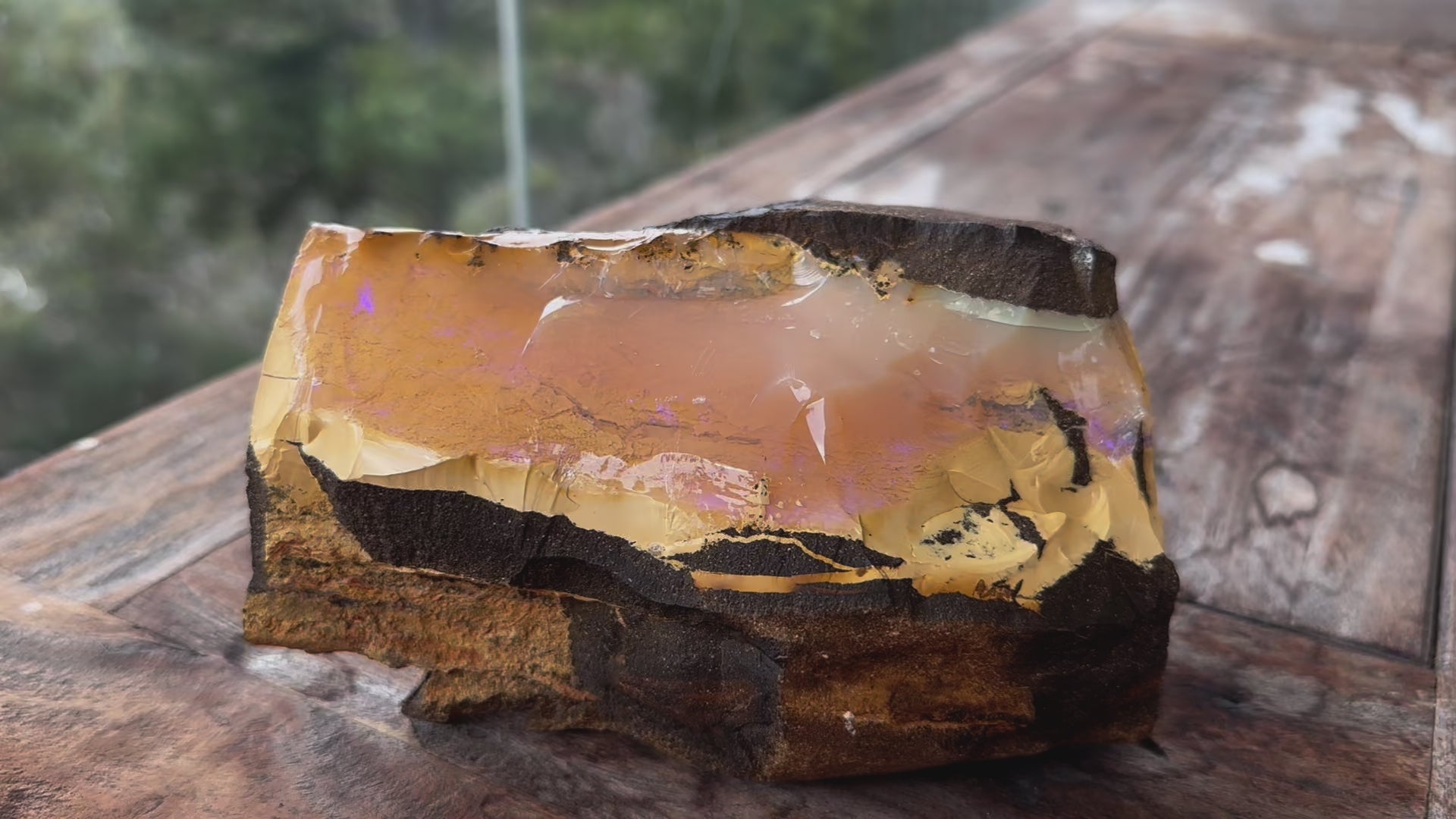 Massive Queensland Boulder Opal Specimen