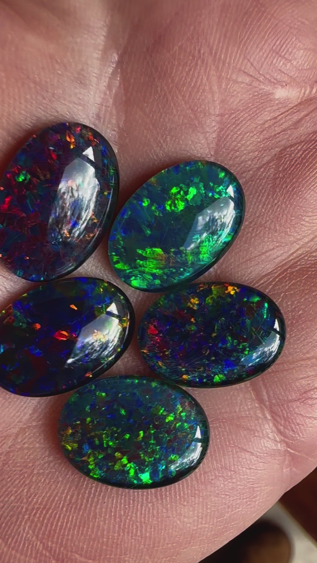 5 Australian Gem Opal Triplets 18x13mm