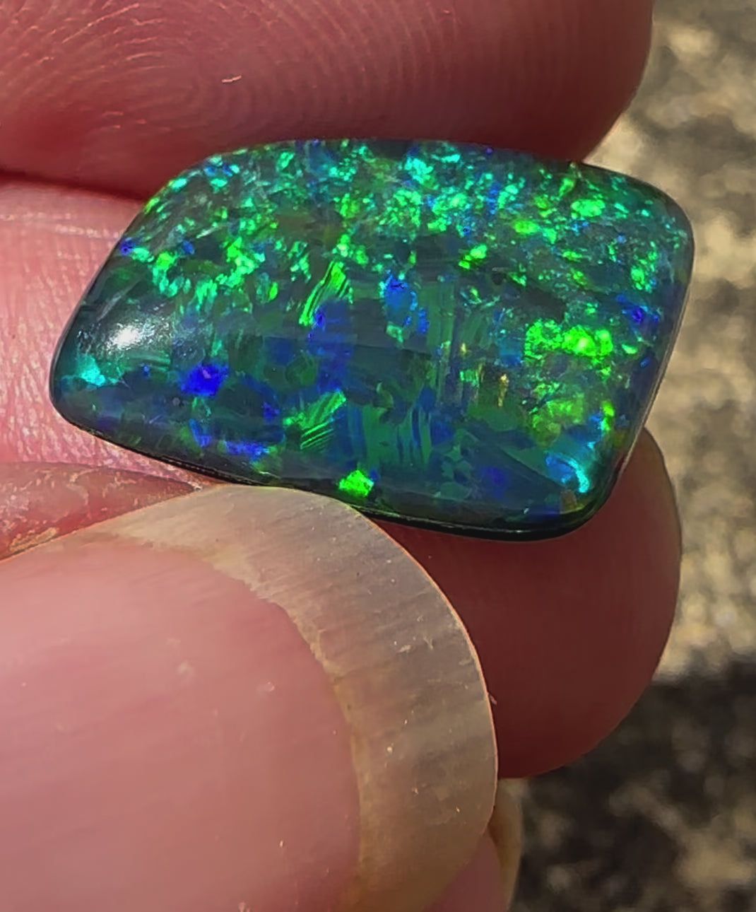 Super Gem Opal Triplet 16x12 mm 8.25 cts