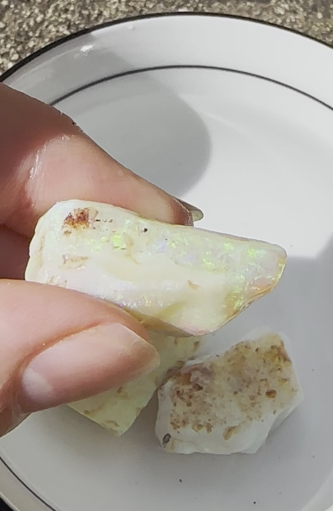 Australian Crystal Opal Rough Uncut