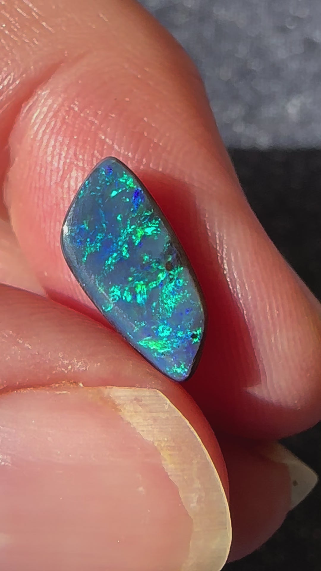 Australian Queensland Boulder Opal Cut Stone