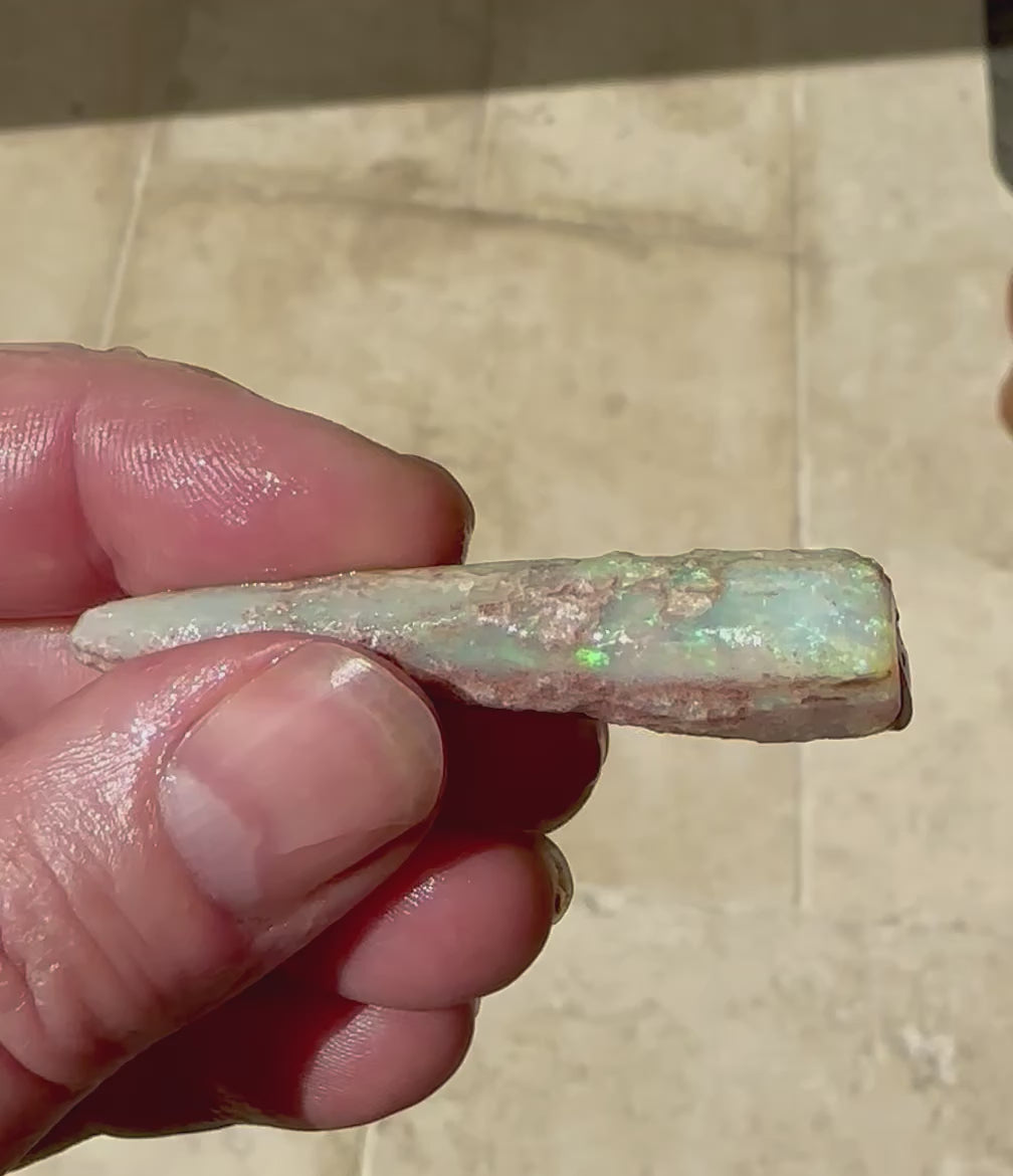 Genuine Australian Opal Belemnite 37.5 cts