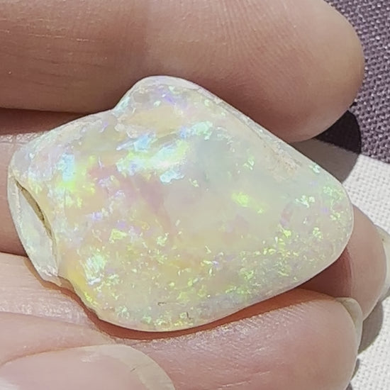 Coober Pedy Gem Crystal Shell 33.75 cts