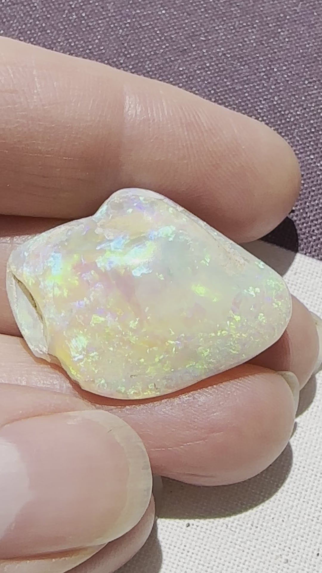 Coober Pedy Gem Crystal Shell 33.75 cts